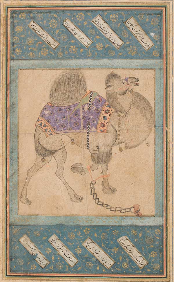 WAM explores Iranian and Indian art in new exhibit