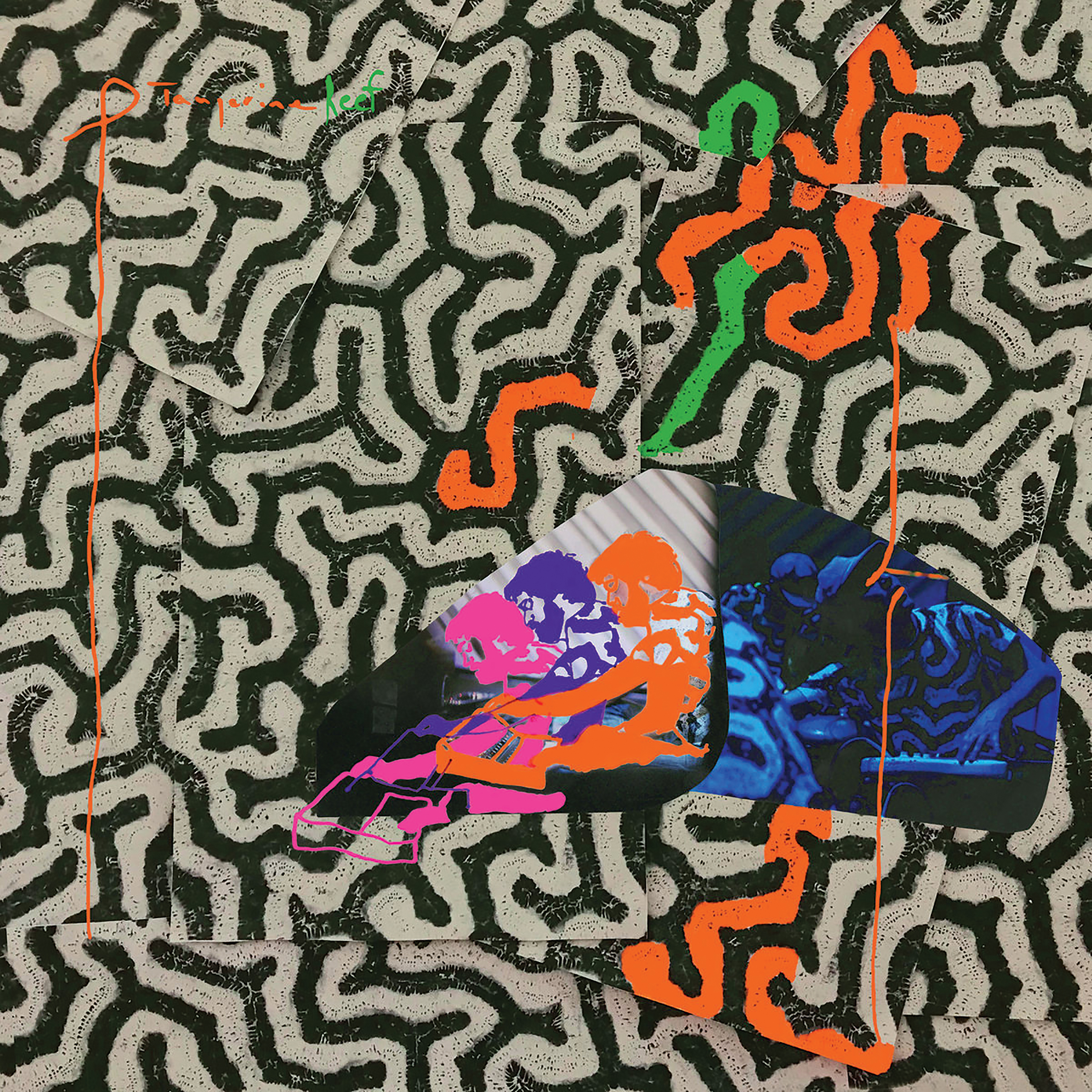 NowStreaming: Animal Collective / Clutch / Jake Shears