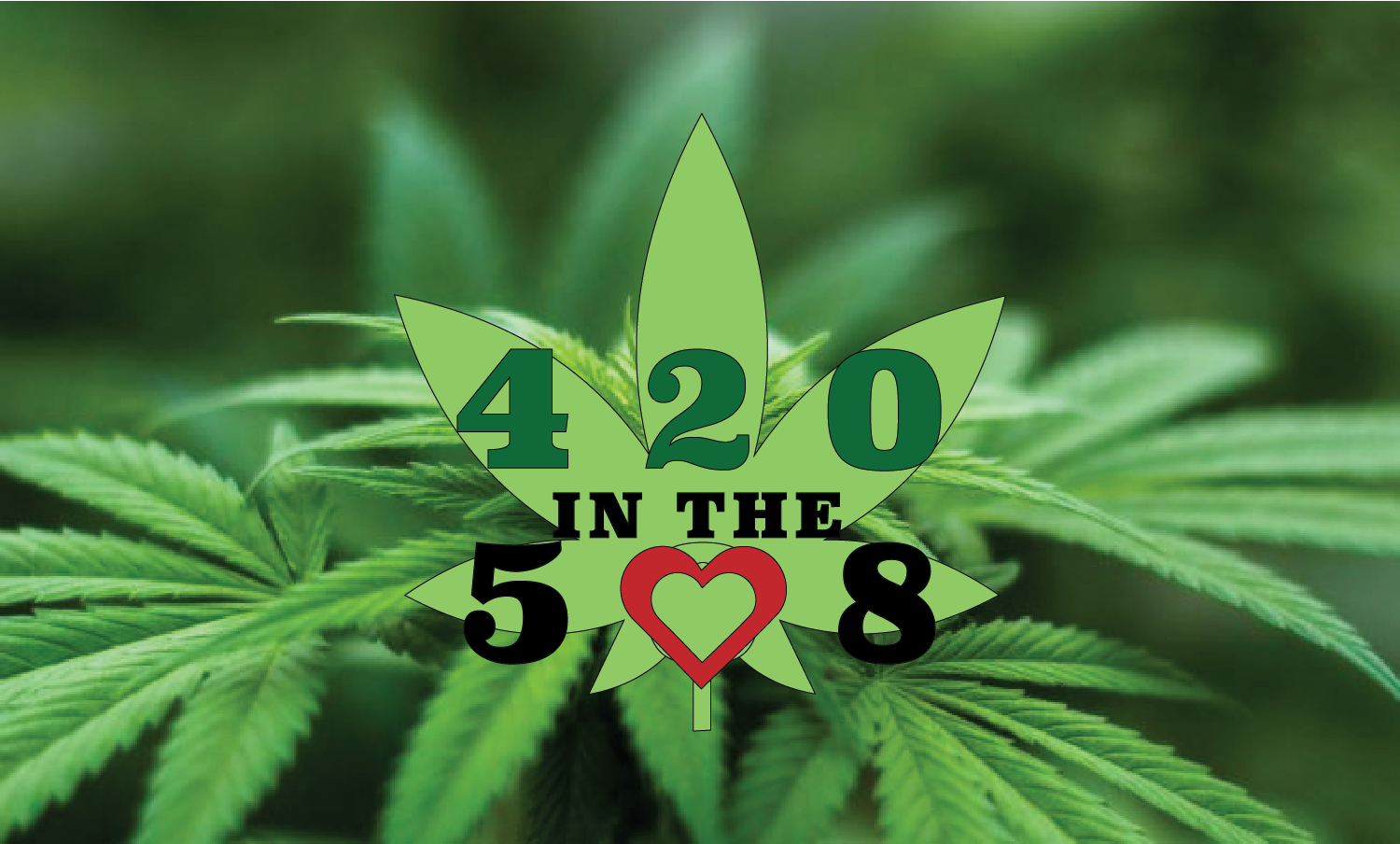 420 in the 508: MARCH 2023