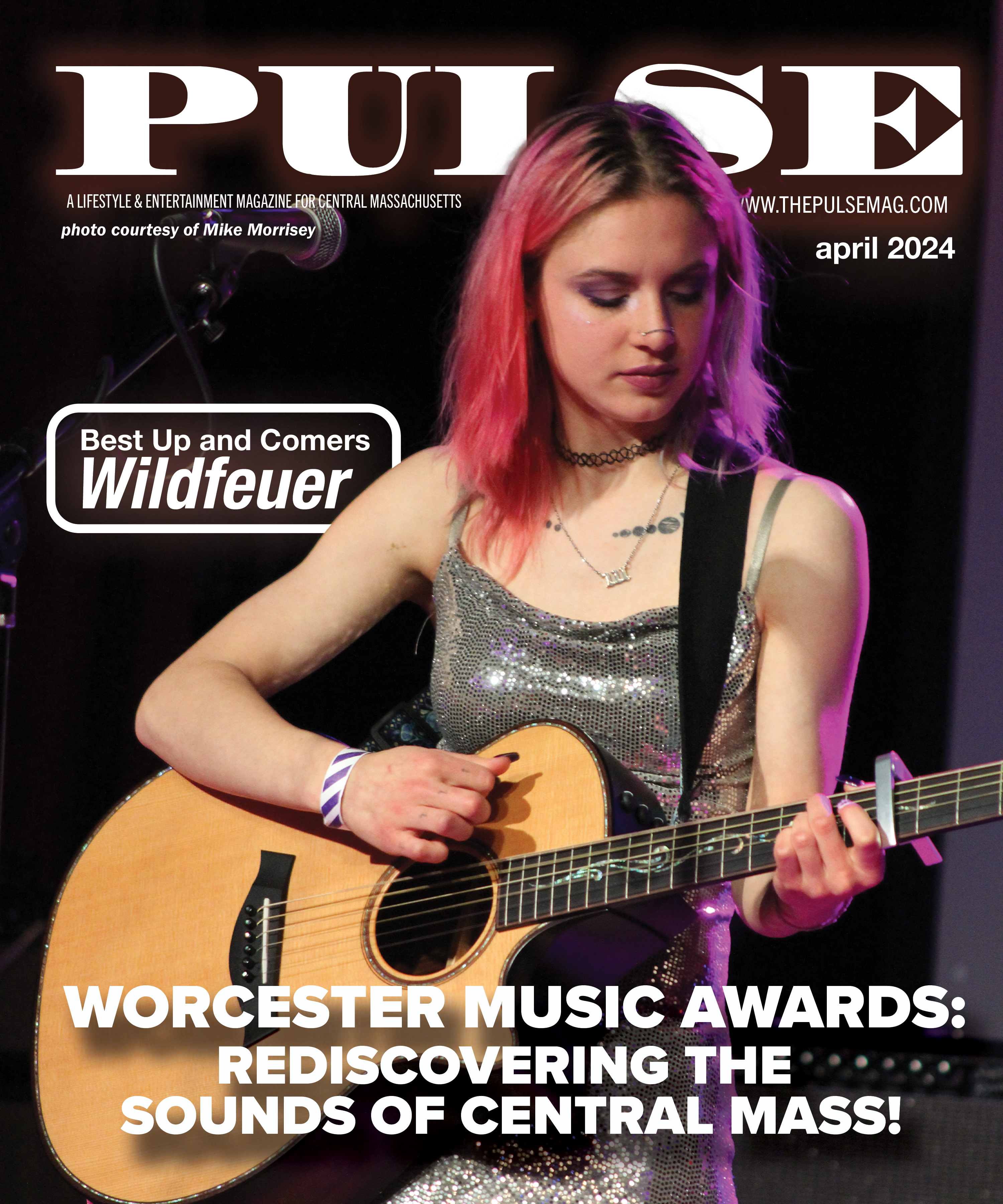Worcester Music Awards: Rediscovering the Sounds of Central Mass!