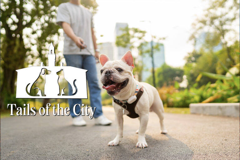 Tails of the City: The Business of Being a Pet Parent